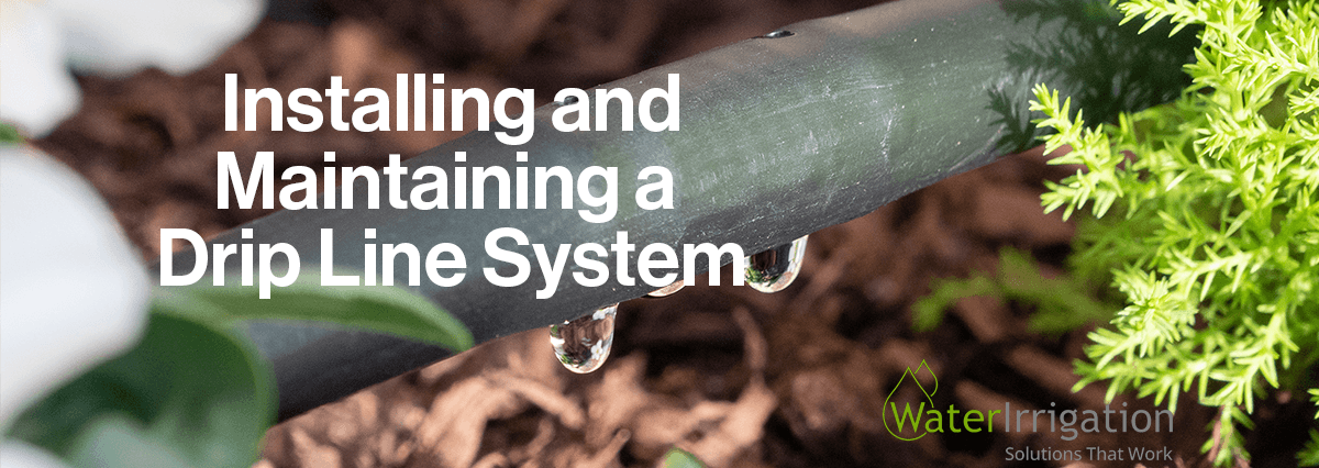 Installing and Maintaining a Drip Line System | Water Irrigation