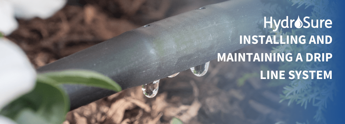 Installing 2024 drip irrigation